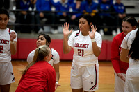 Girls vs Hale Center District Game 4